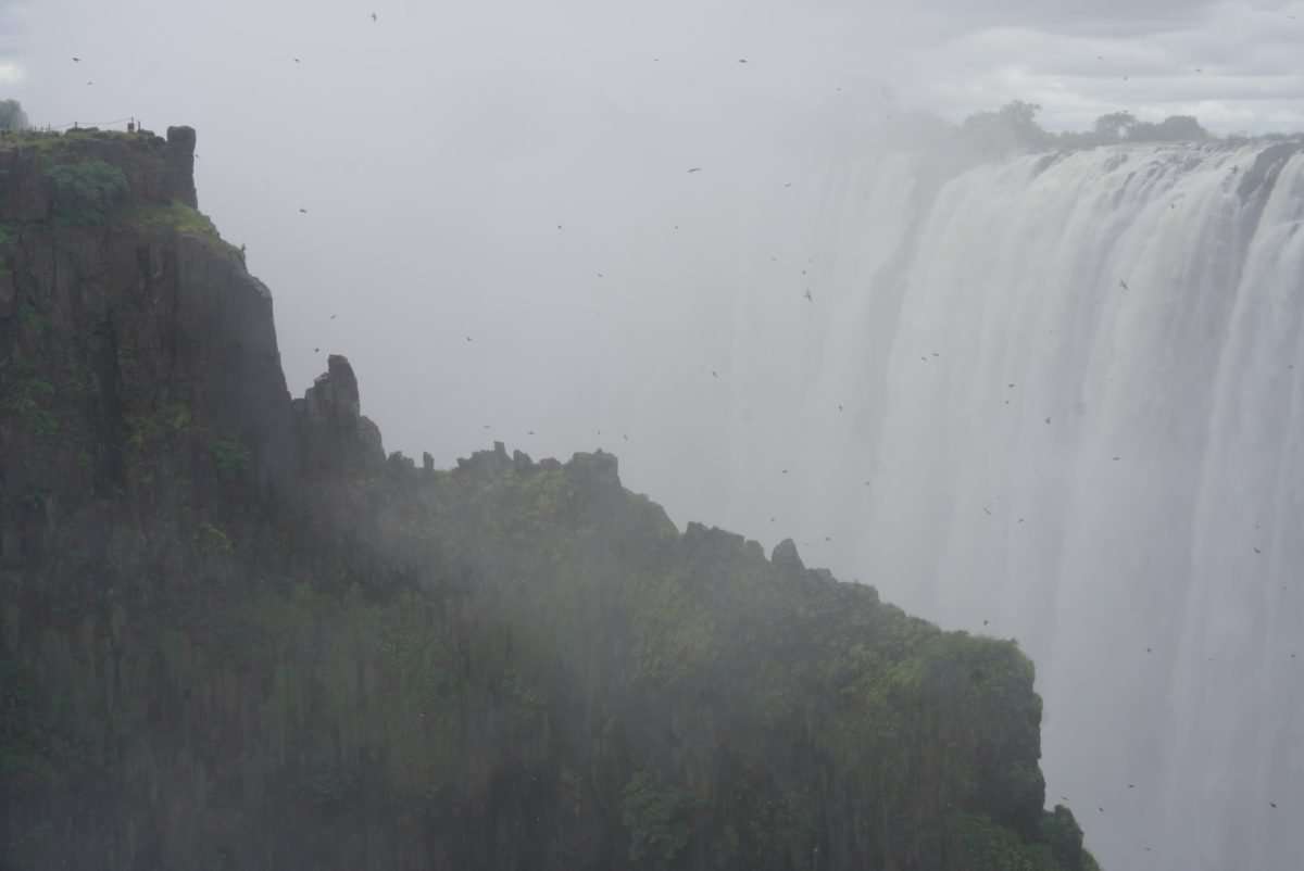 Victoria Falls Tour TourwithPipi