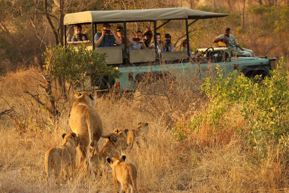 kruger-south-africa