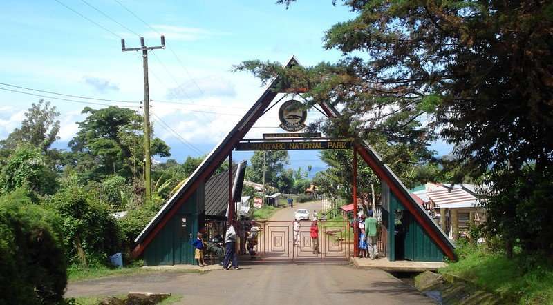 Marangu Route Kilimanjaro