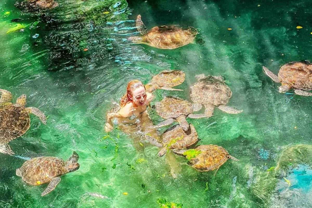 Baraka Aquarium