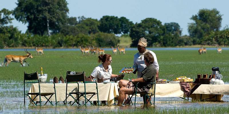 Couple-in-safari-africa