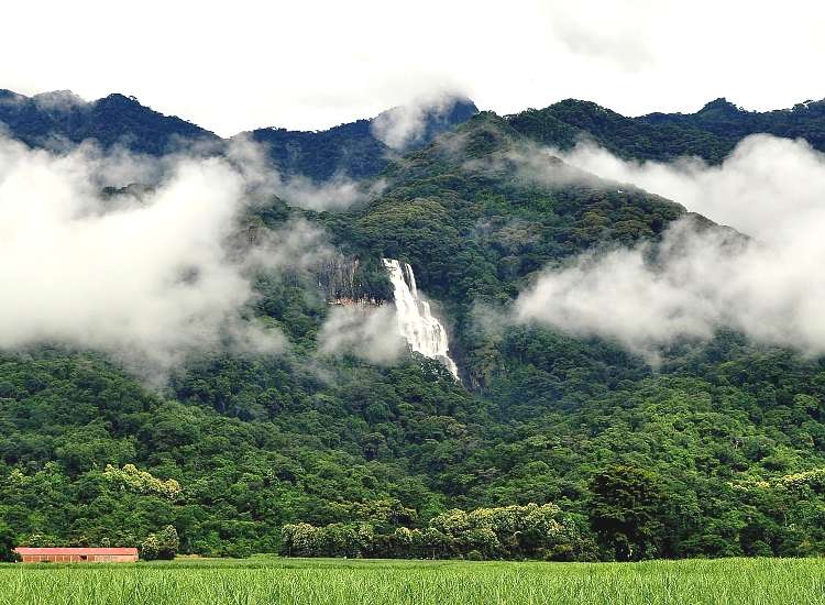 Mikumi and Udzungwa Mountains