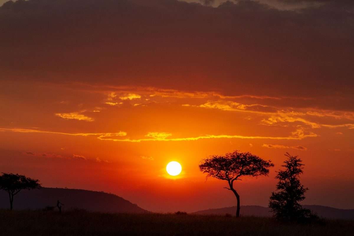 Serengeti National Park, Tanzania
