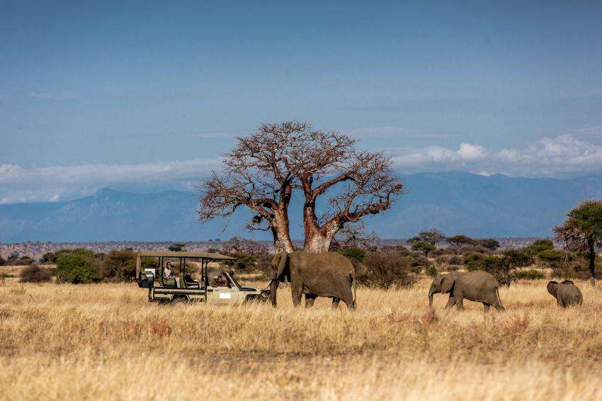 Tarangire National Park