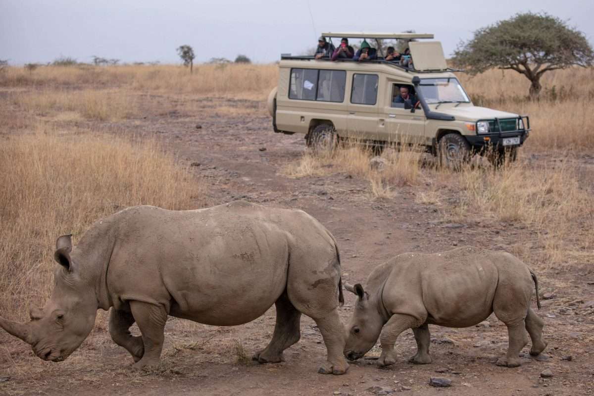 africa-safari-tanzania