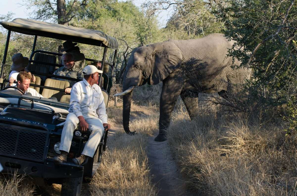 African Safari Cost
