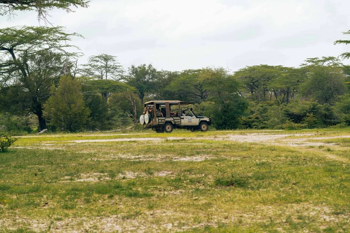 safari-jeep