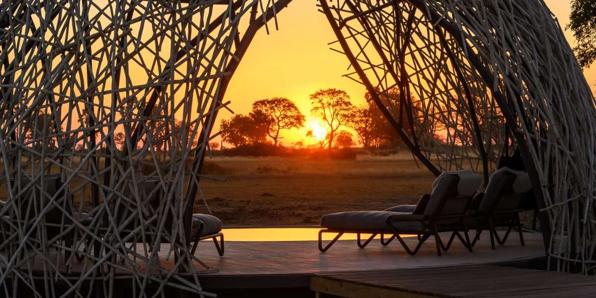 couple-safari