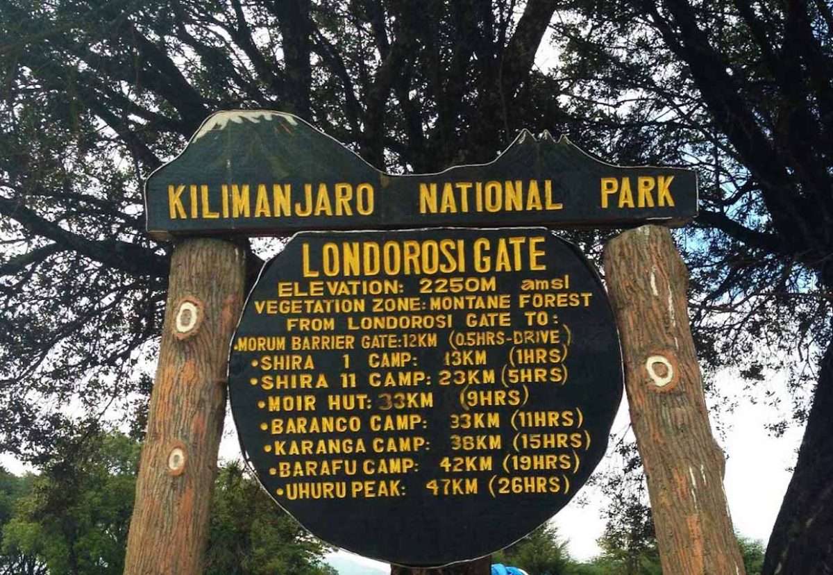 Lemosho-routes-climb-kilimanjaro