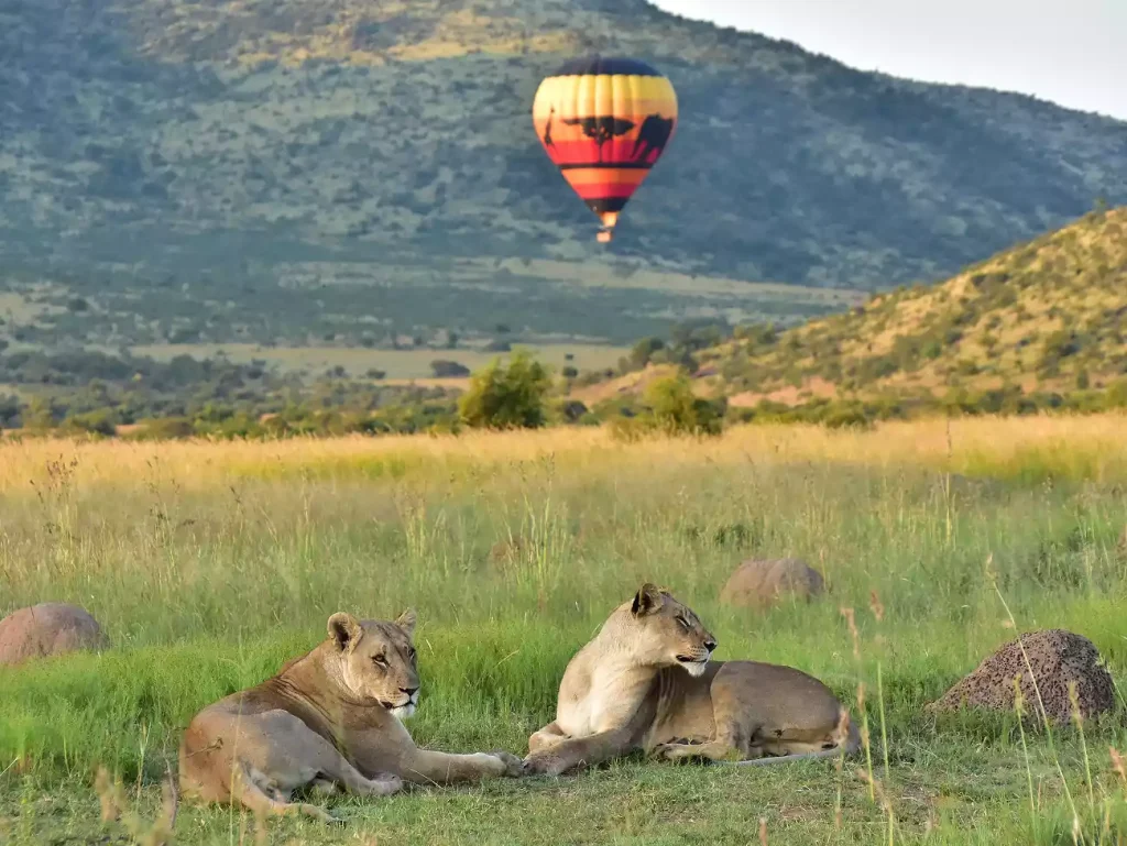 Pilanesberg National Park, South Africa
