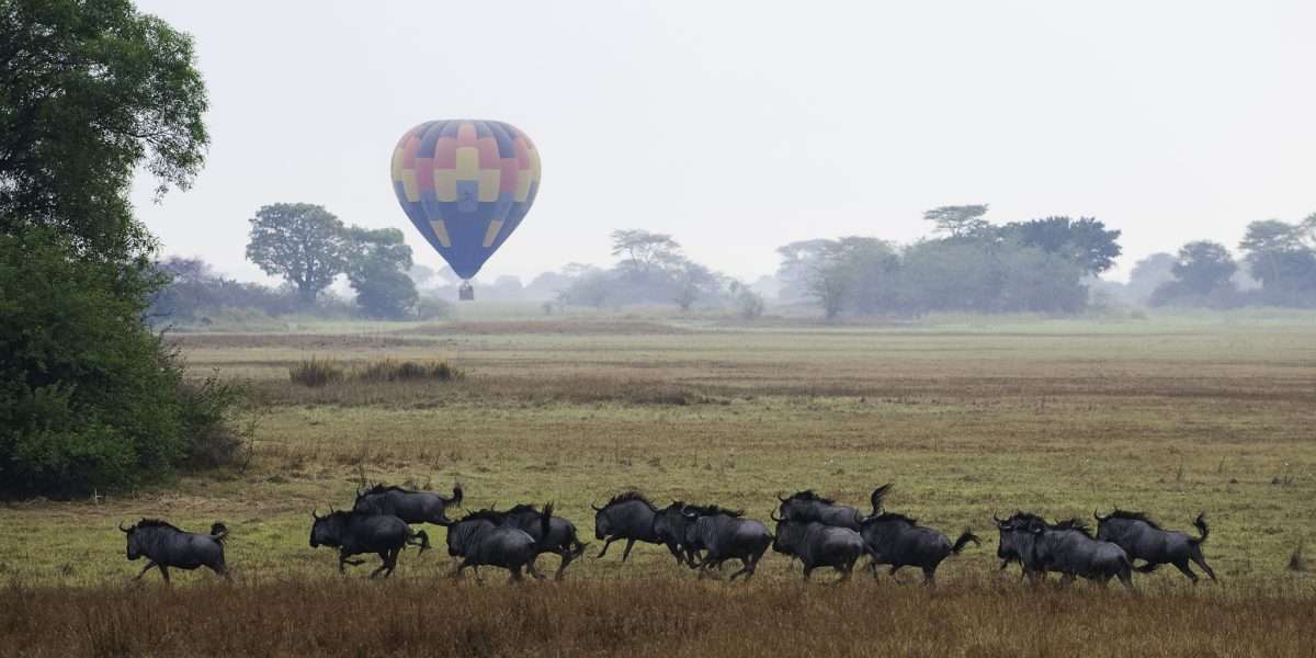 Kafue National Park, Zambia