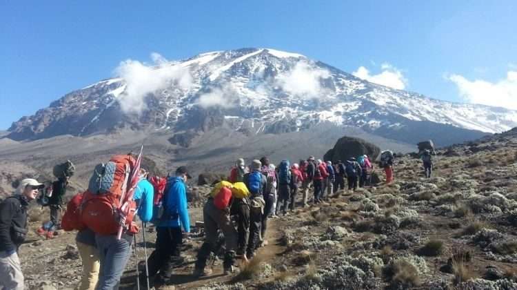 Marangu Route mount Kilimanjaro in Tanzania