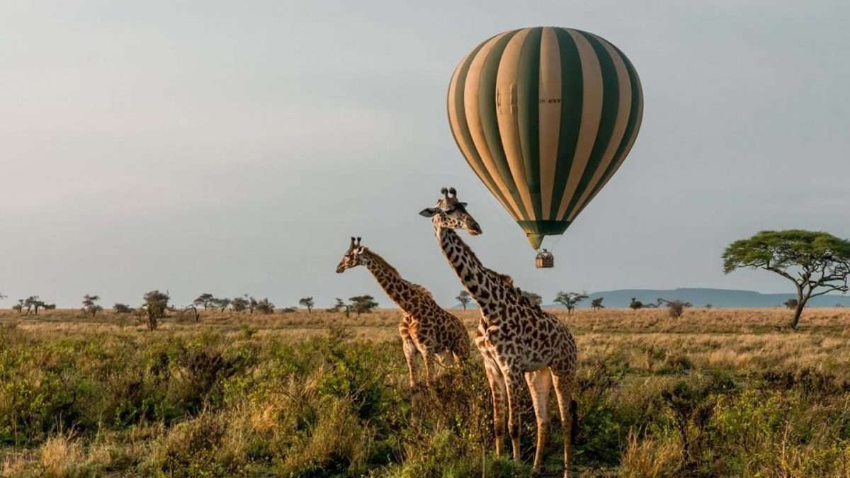 Murchison Falls National Park, Uganda