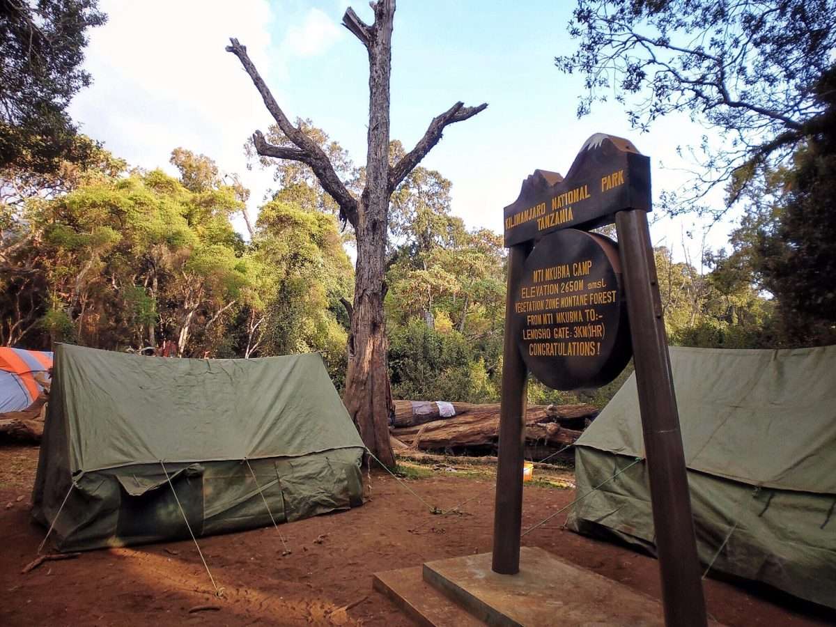 Camping tent Kilimanajro