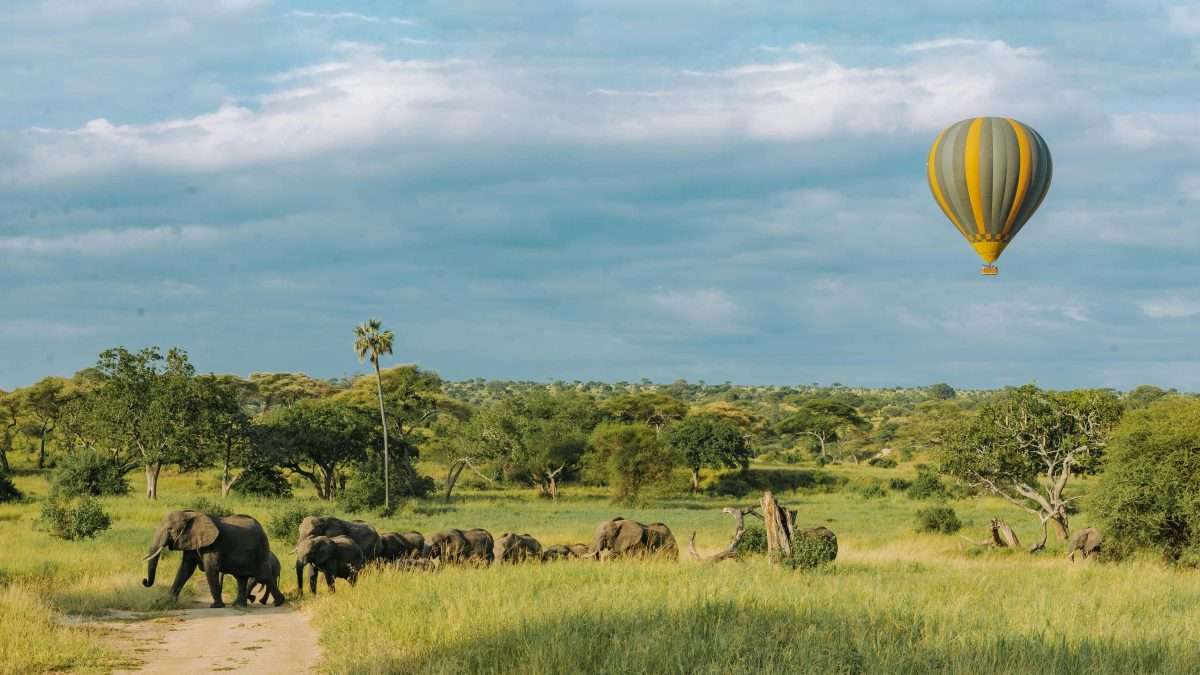 Hot air balloon safari in Africa