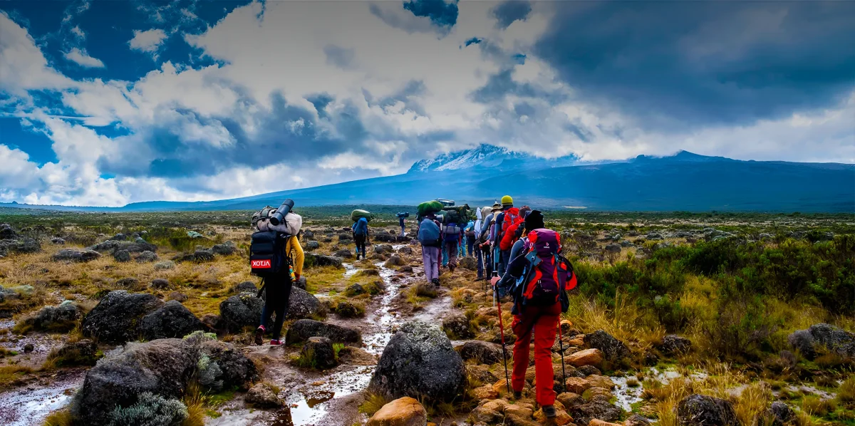 Shira Route Kilimanjaro