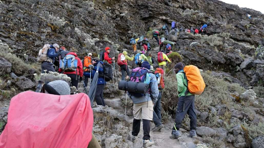 umbwe-route-best-kilimanjaro-climb