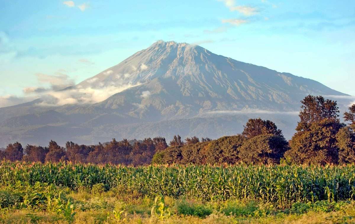 Arusha