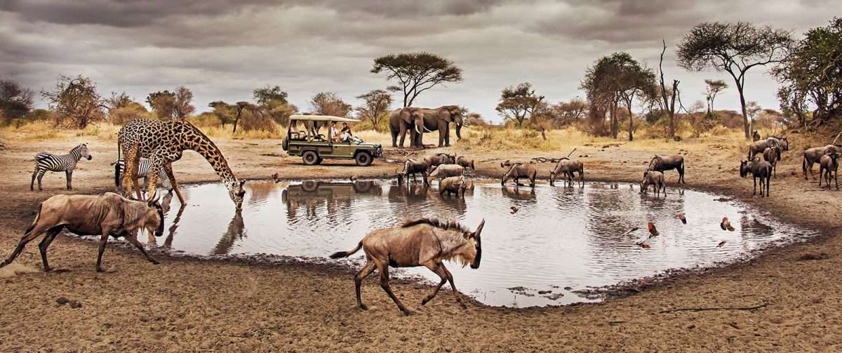 Northern Serengeti