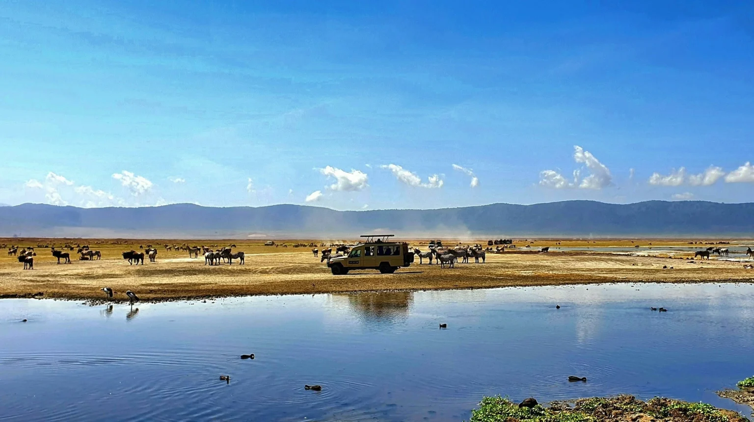 Tanzania safari with Zanzibar Luxury tour