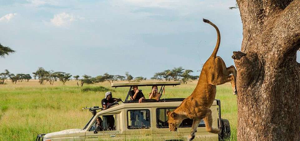 Tanzania Safari Itinerary