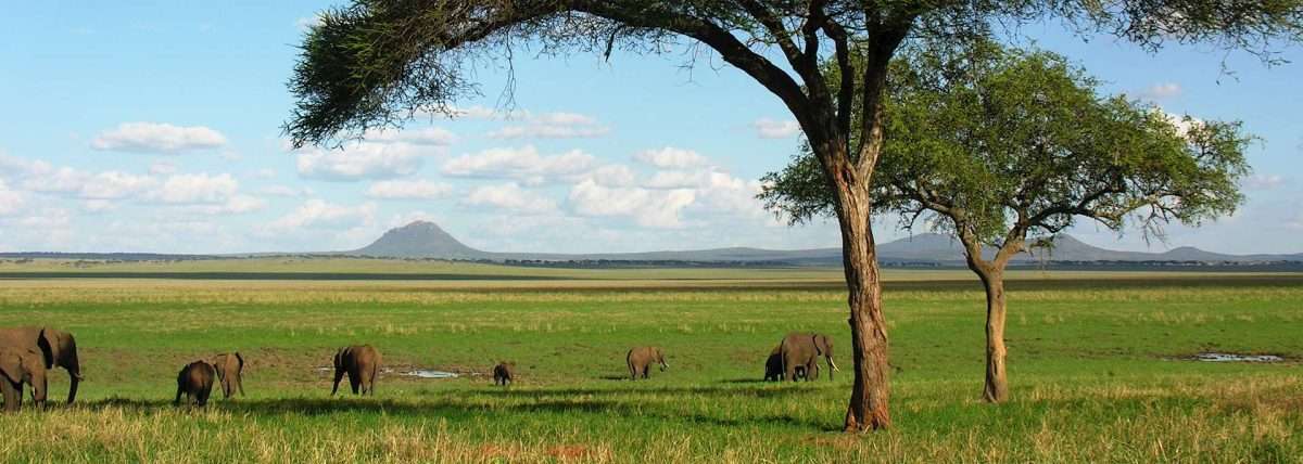 Tarangire National Park