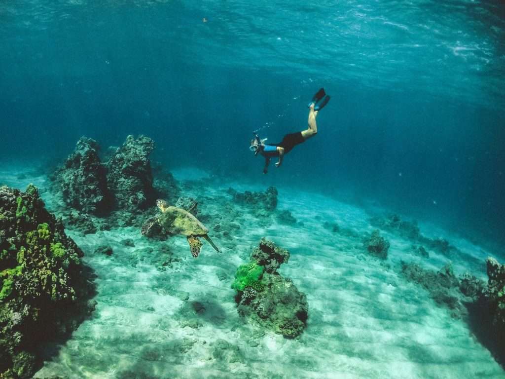 Lamu Beach Diving