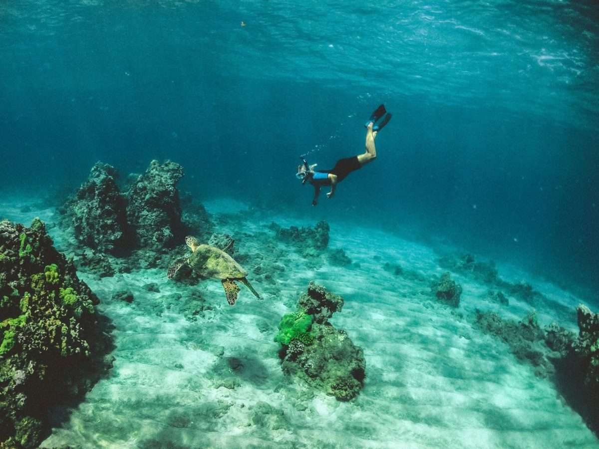 Lamu Beach Diving