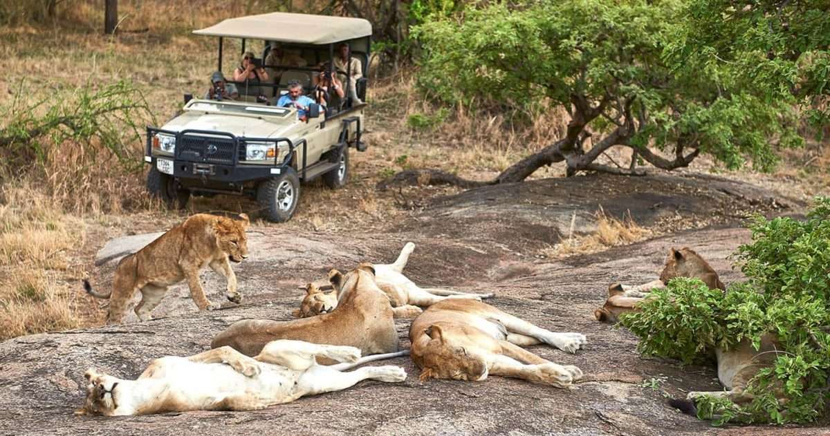 Ndutu Plains