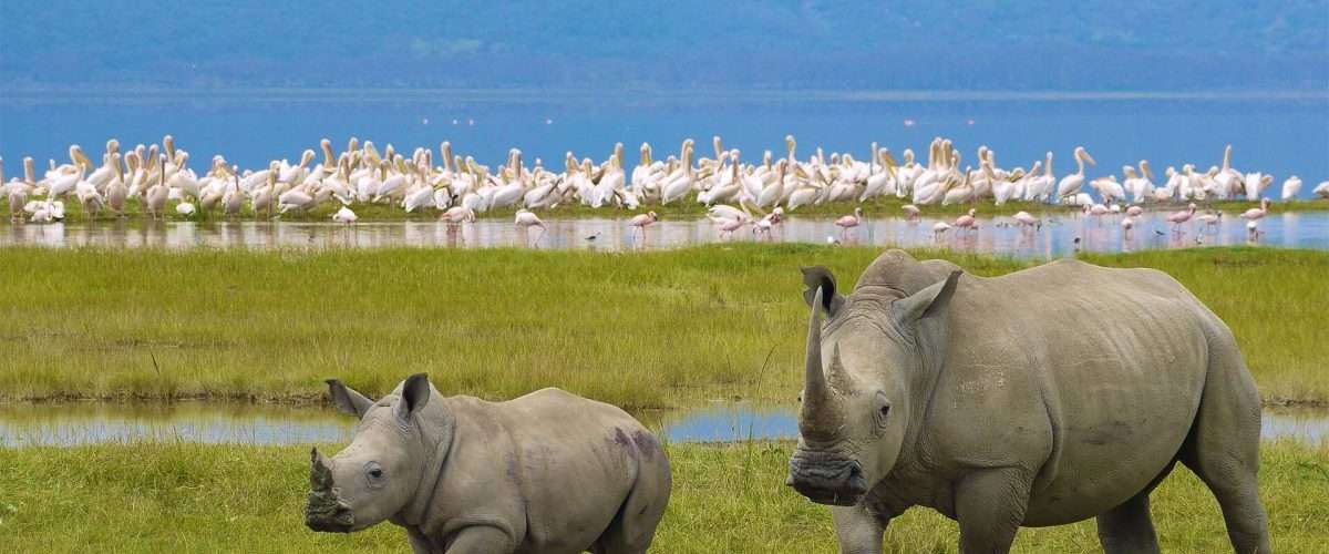 tanzania Safari itinerary