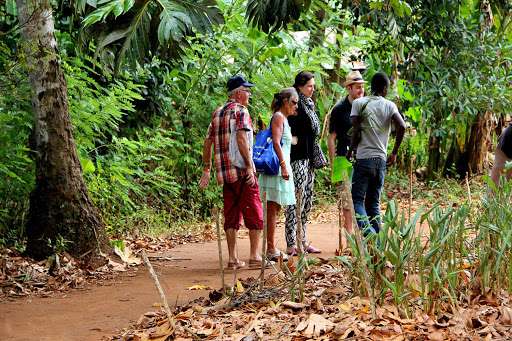Spice Plantations