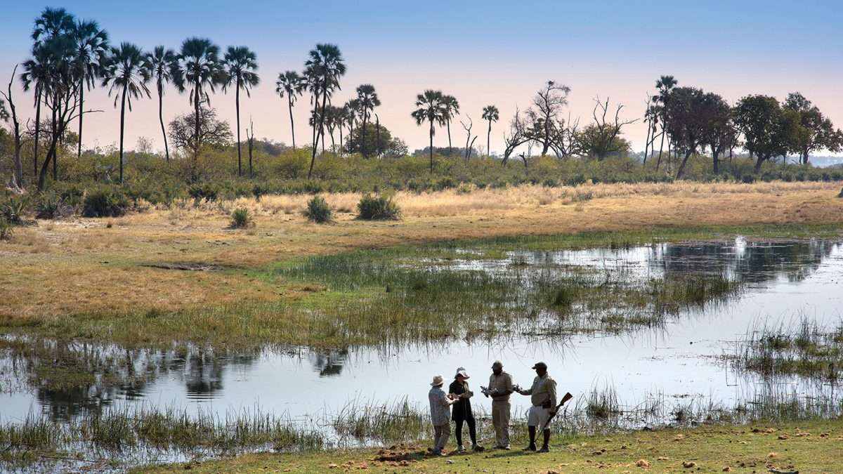 Botswana-walking-safari
