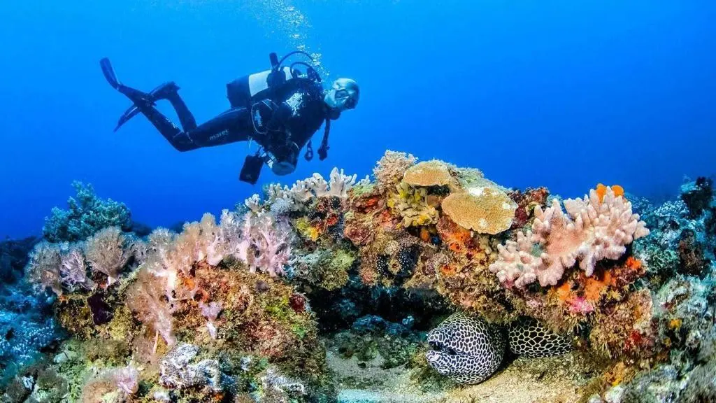 Diani-beach-diving-africa
