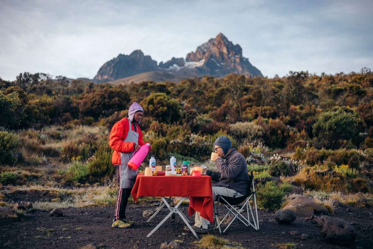 Gourmet Dining Experience