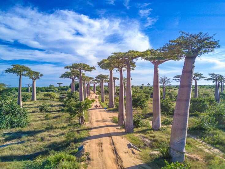 Madagascar