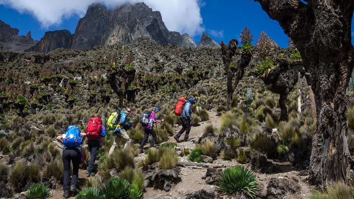 Mount-kenya-trekking