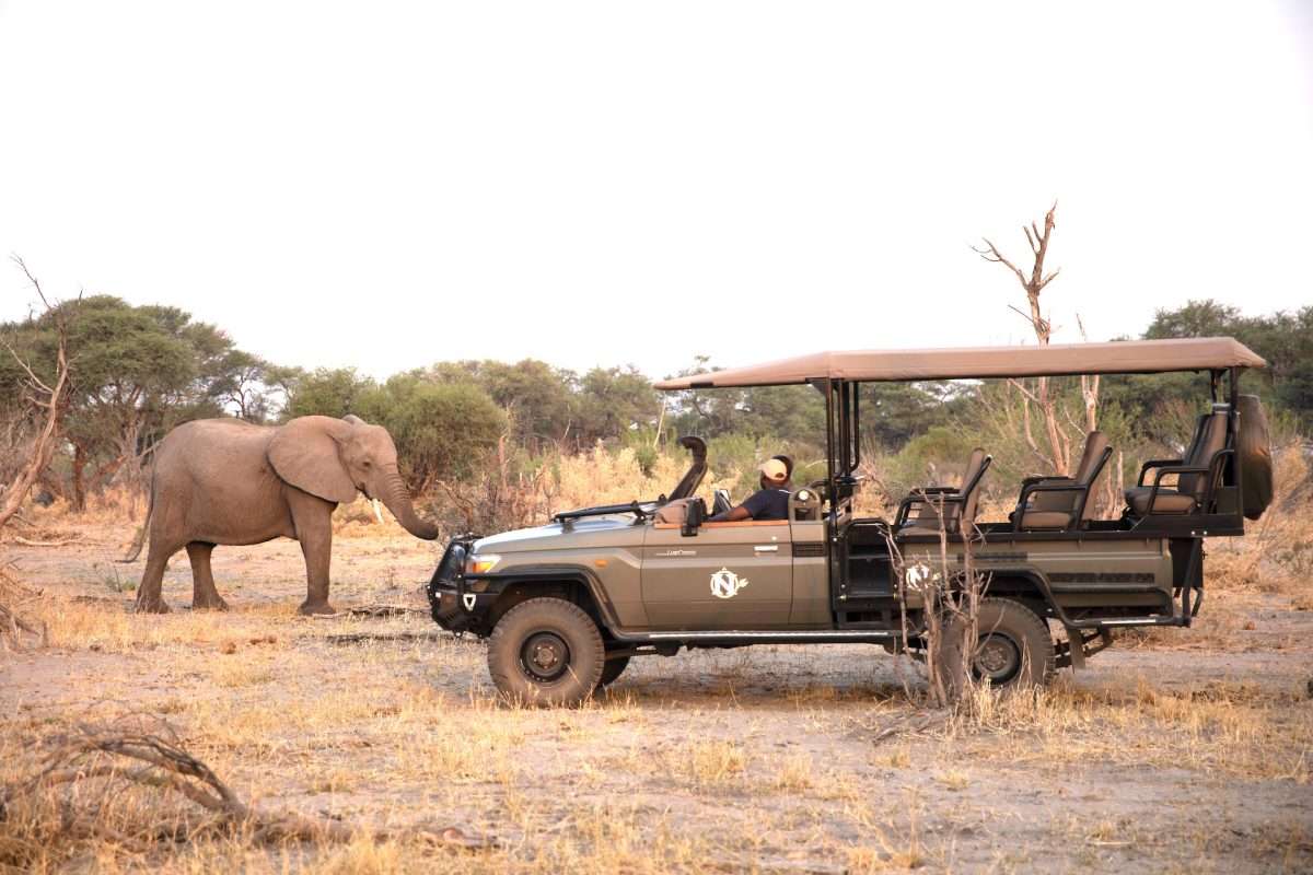 Safari Vehicles in Botswana