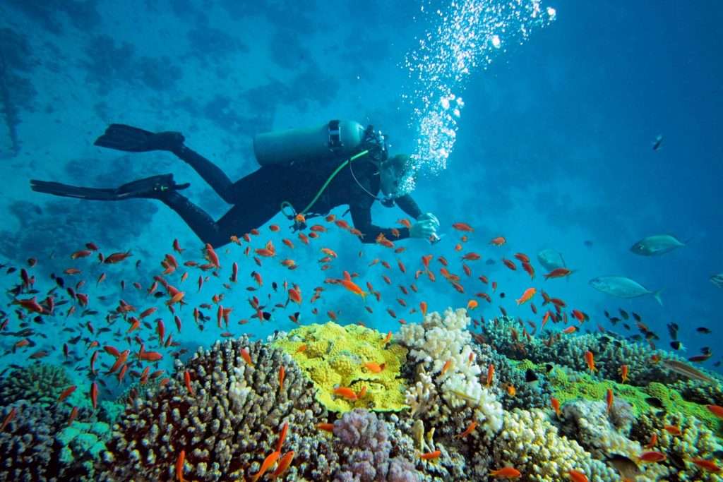Scuba-Diving-Africa