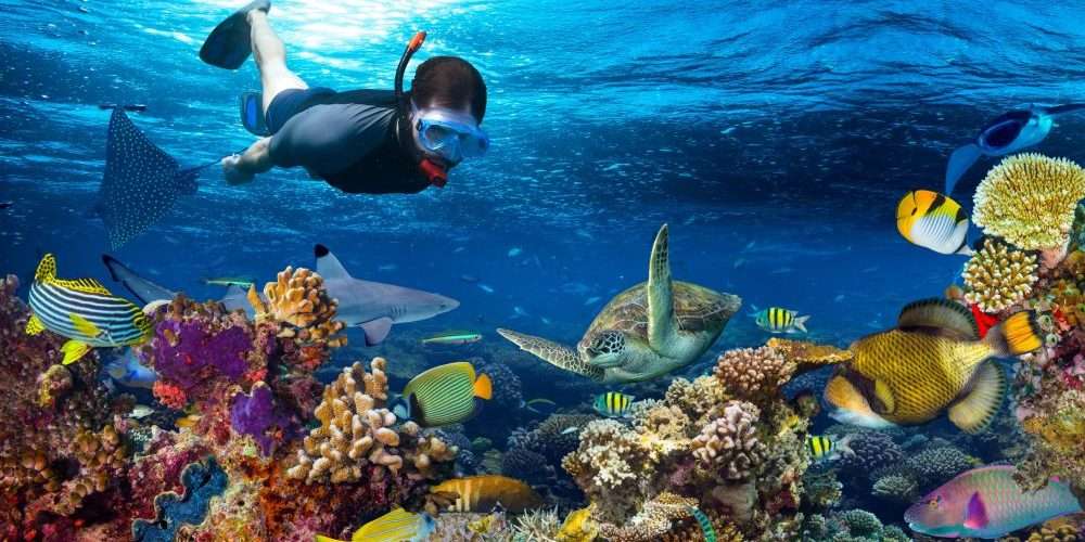 Snorkeling-In-Zanzibar