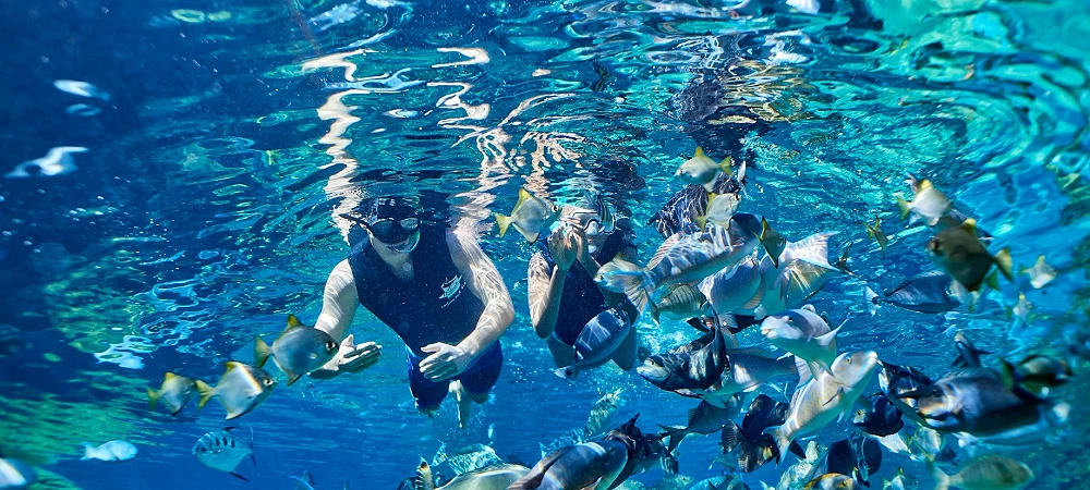 Snorkeling-in-africa