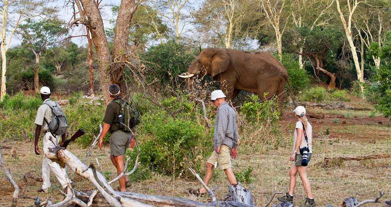 South Africa walking safari