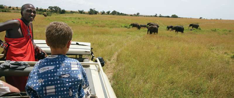 Family safari in africa with kids