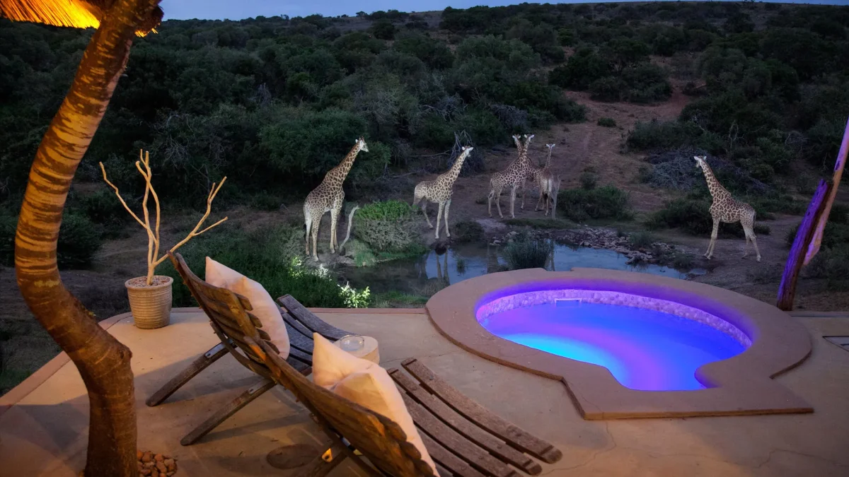 The-african-Safari-Lodge-at-night
