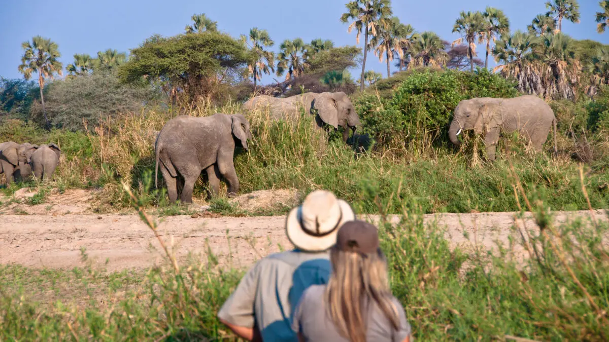 Walking-safari-in-tanzania