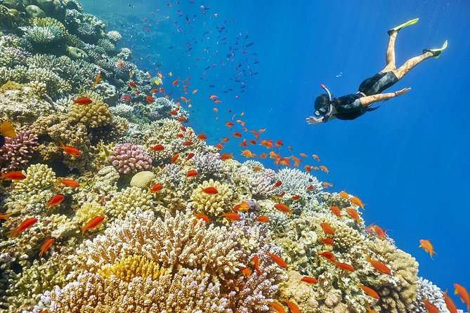 diving-africa