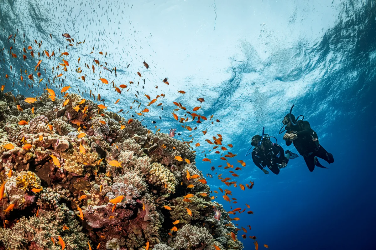 diving-in-africa