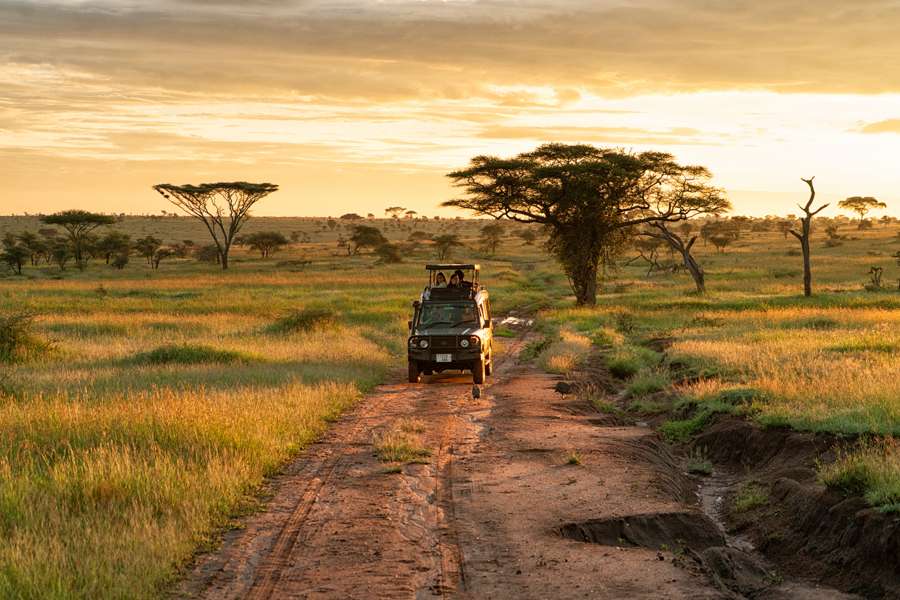 sunset game drive