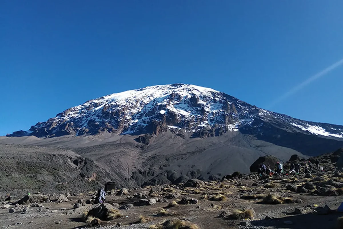 Views at the Base of Kilimanjaro
