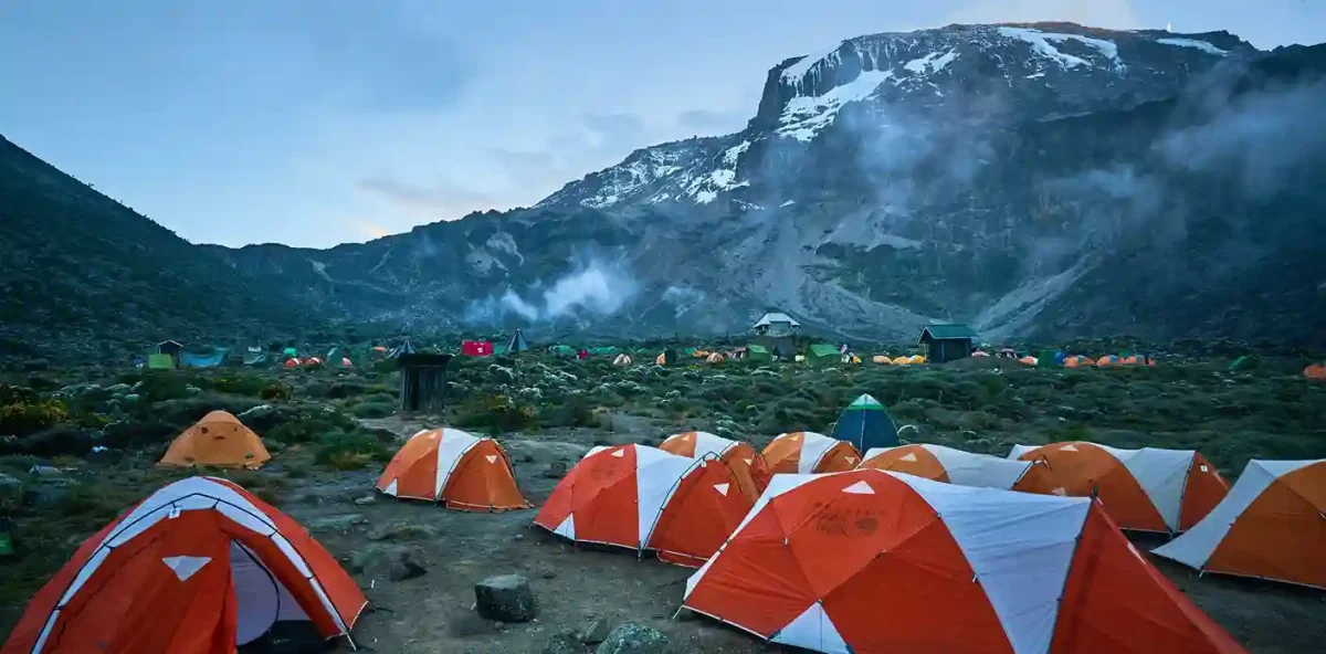 Views at the Base of Kilimanjaro