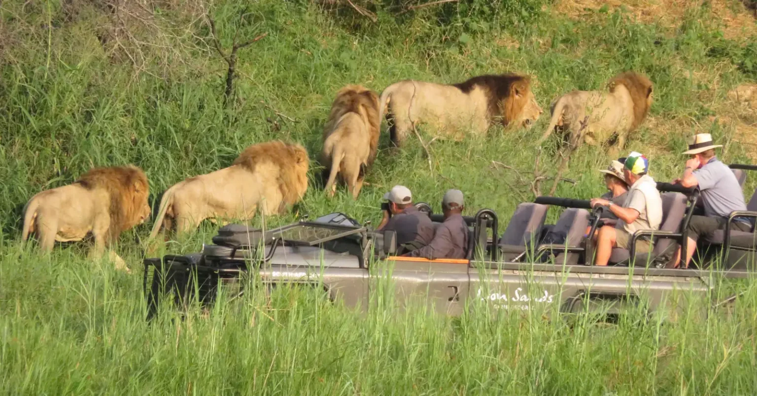 are-african-safaris-safe
